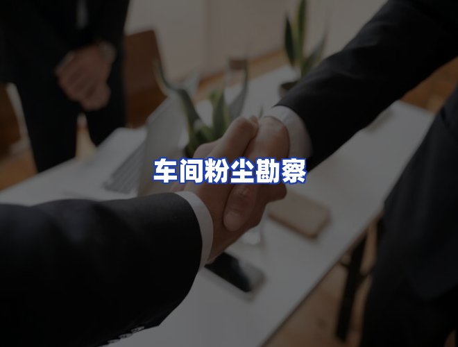 专业团队